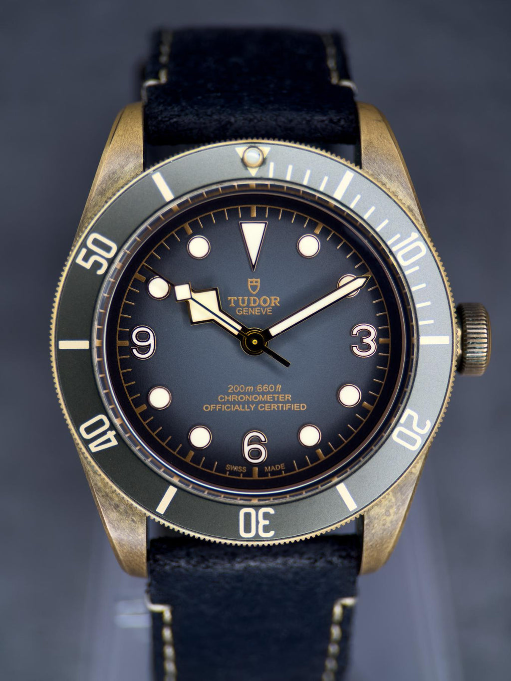 Tudor Black Bay