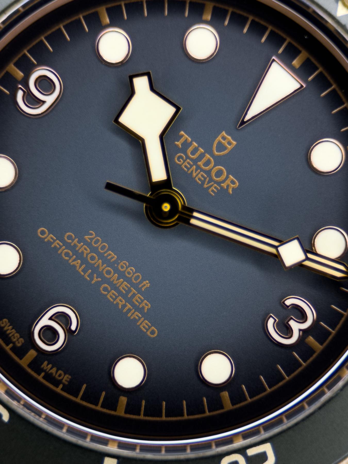 Tudor Black Bay